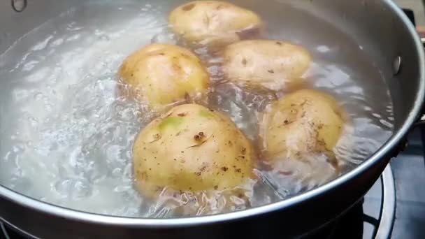 Aardappelrol Die Heet Water Kookt — Stockvideo