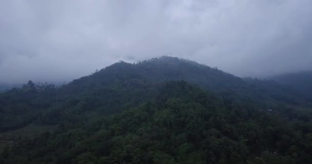 Penerbangan Udara Menuju Hutan Dan Bukit Pagi Hari Terhadap Awan — Stok Video
