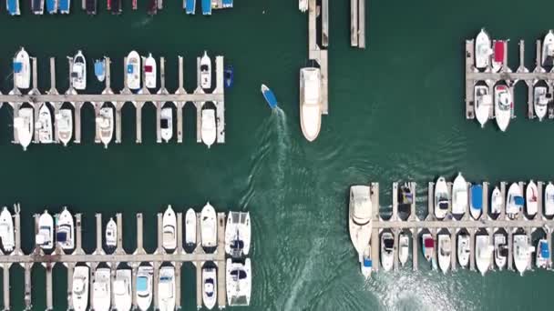 Marinadaki Bir Teknenin Hava Takibi — Stok video