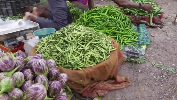 Indian Warzywa Market Street Stoisko Egzotycznych Owoców Warzyw Lokalne Brinjal — Wideo stockowe