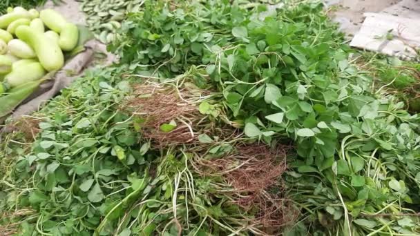 Fresh Methi Leaves Local Vegetable Market Ramo Verduras Frescas Alholva — Vídeos de Stock