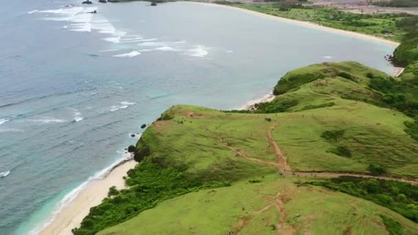 Zelená Louka Bílá Písečná Pláž Bukit Merese Lombok Obklopená Oceánem — Stock video