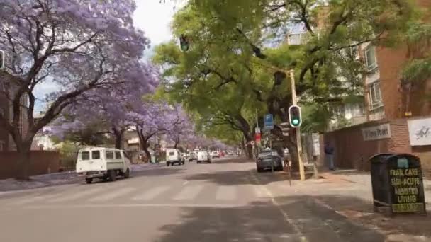 Οδήγηση Στους Δεντρόφυτους Δρόμους Της Πόλης Της Πρετόρια Πρωινή Κίνηση — Αρχείο Βίντεο