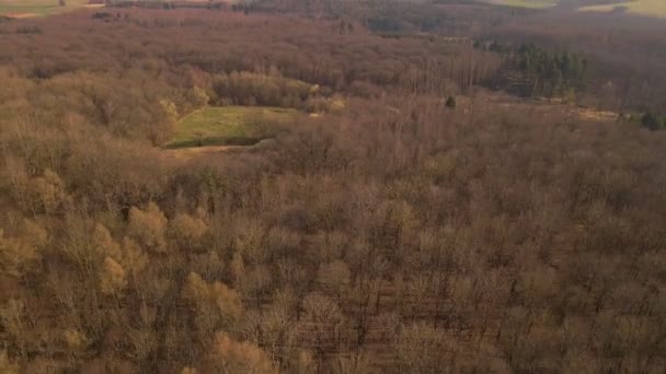 Hillside Pokryte Gołymi Brązowymi Drzewami Liściastymi Wsi Niemieckiej Ujawniając Zdjęcia — Wideo stockowe