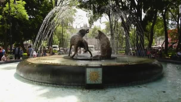 Coyotes Water Fontein Stedelijke Bestemming Coyoacan Mexico City Beroemd Artistiek — Stockvideo