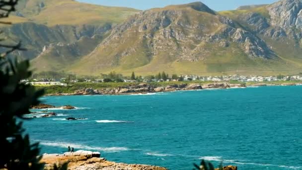 Seaside Town Hermanus Famous Its Land Based Whale Watching Overstrand — Stock Video
