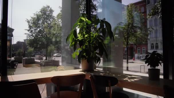 Interior Minimalista Caf Dia Ensolarado Planta Mesa Cadeiras Frente Frente — Vídeo de Stock