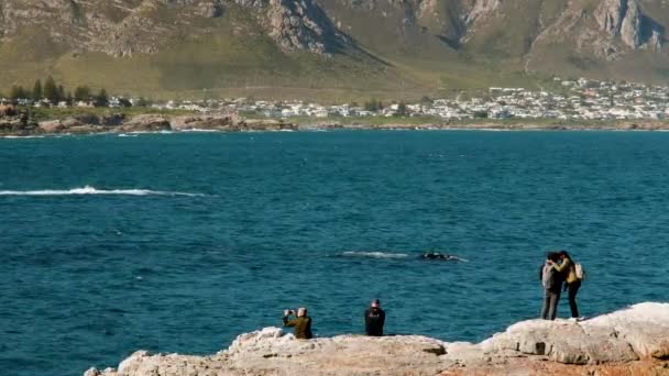 Honeymoon Couple Kissing Rocks Celebrating Wonderful Whale Watching Experience Picturesque — Stock Video