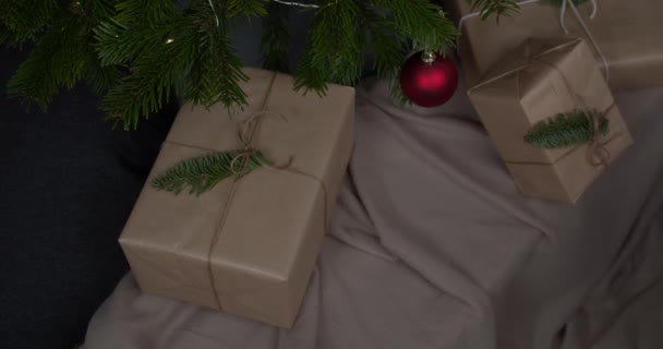 Presentes Natal Orgânicos Presentes Amigáveis Natureza Sob Árvore Natal — Vídeo de Stock