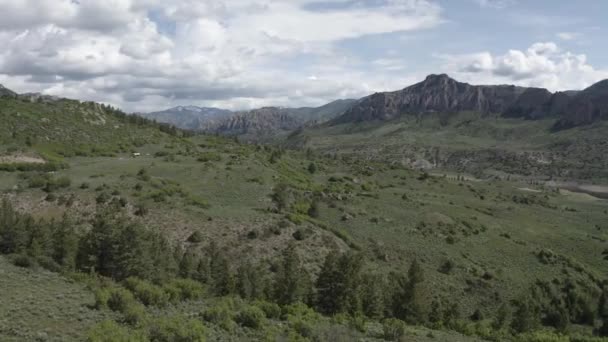 Travnatá Pláň Coloradu Skalistých Horách Řídkými Lesními Skvrnami Letecký Přelet — Stock video