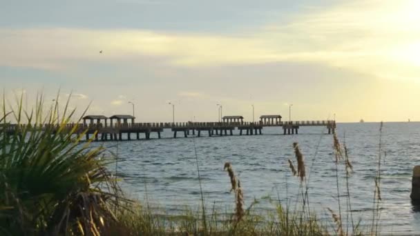 Golden Hour Shot Gulf Fishing Pier Fort Soto Tampa Bay — Αρχείο Βίντεο
