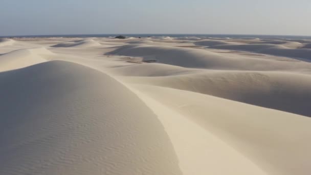 Μια Αμμώδης Έρημος Στην Ακτή Του Ινδικού Ωκεανού Στο Νησί — Αρχείο Βίντεο