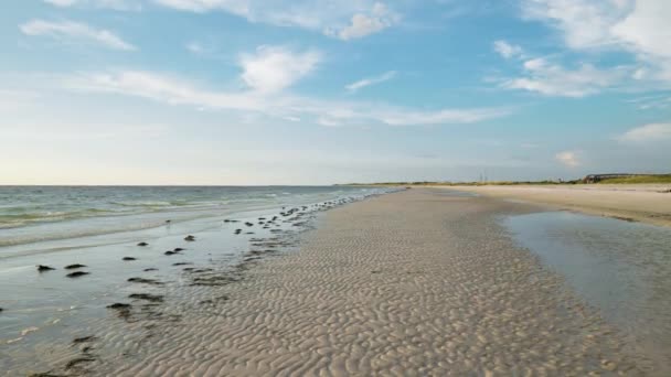 Fala Tworząca Piękne Piaszczyste Wzory Rozległej Pustej Plaży Błękitnym Niebem — Wideo stockowe