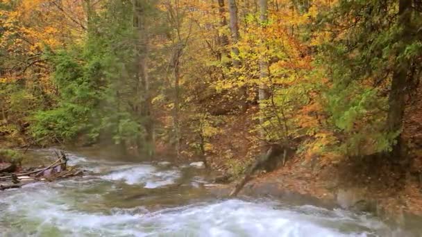 Autumn Morning Wild Forest Extreme River Current Creating Mist Static — Stock Video