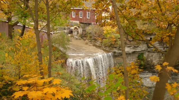 Ein Kleines Haus Wald Umgeben Von Herbstfarben Und Einem Wasserfall — Stockvideo