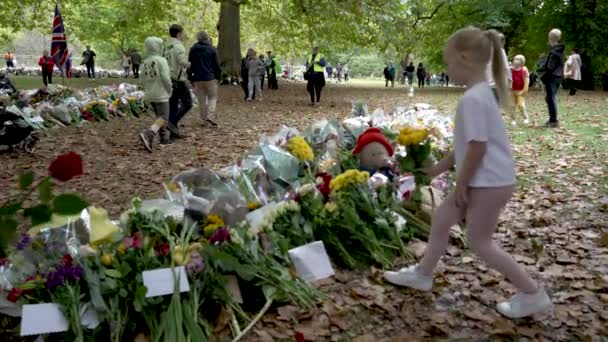 Ung Flicka Som Lägger Blommor Hyllning Green Park Efter Drottningen — Stockvideo