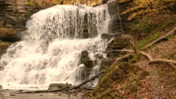 Pintoresca Vista Albion Falls Con Hermosos Colores Otoñales Hamilton Ontario — Vídeo de stock
