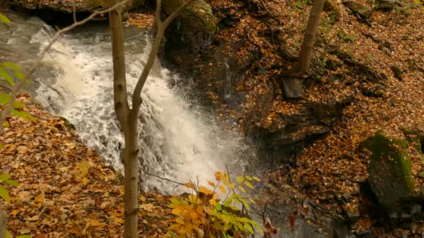 Земля Окружающая Каскадный Поток Полностью Покрыта Сушеными Осенними Листьями — стоковое видео