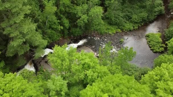 Veduta Aerea Dell Acqua Che Scorre Attraverso Una Foresta Arrowhead — Video Stock