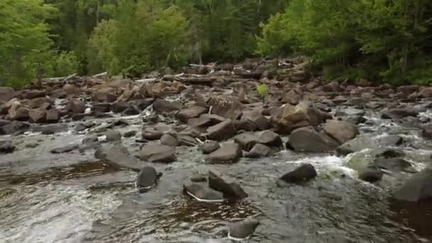 Вид Воздуха Воду Текущую Скалистому Руслу Через Лес Водопада Oxtongue — стоковое видео