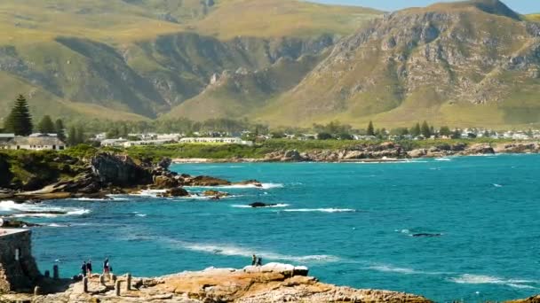 Scenic Hermanus Coastline Beautiful Mountains Background Tourists Doing Whale Watching — Stock Video