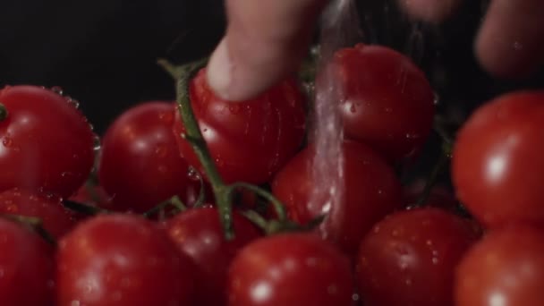 Una Mano Afferra Mazzo Deliziosi Pomodorini Appena Risciacquati Primo Piano — Video Stock