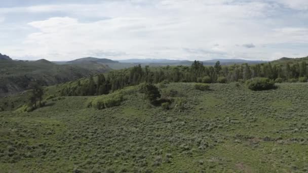 コロラド州のロッキー山脈と草原の近くに峡谷と森林の清掃 空中フライオーバーショット — ストック動画