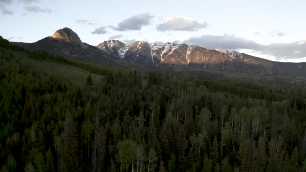 Colorado Montanhas Rochosas Com Clareira Florestal Usado Para Pistas Esqui — Vídeo de Stock