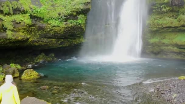 Frau Vor Einem Wasserfall Island — Stockvideo