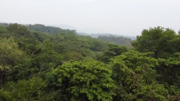 Dron Atirou Voando Sobre Colinas Floresta Parece Pouco Nebuloso — Vídeo de Stock