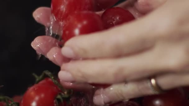 Lassú Kézmozgás Finoman Öblít Egy Csomó Gyönyörű Érett Cseresznye Paradicsom — Stock videók