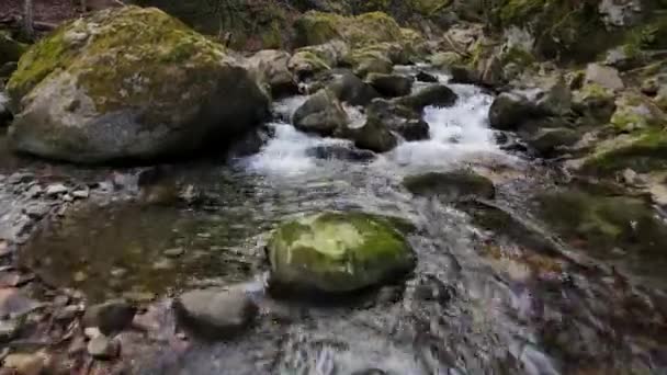 Ποταμός Τοπίο Στα Πυρηναία Στη Γαλλία Drone Πλάνα Ενός Ποταμού — Αρχείο Βίντεο
