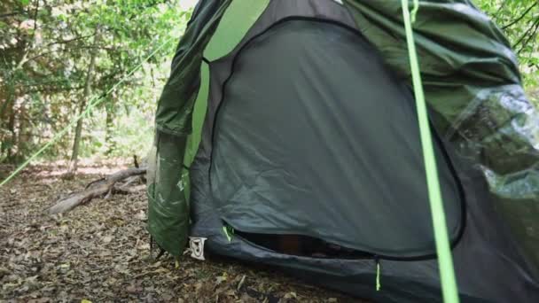 Korkak Adam Çadır Kapısını Sık Orman Manzarasını Dikkatle Izle — Stok video