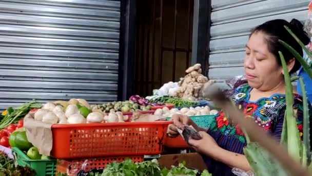 Mulher Nativa Guatemala Contando Dinheiro Mercado — Vídeo de Stock