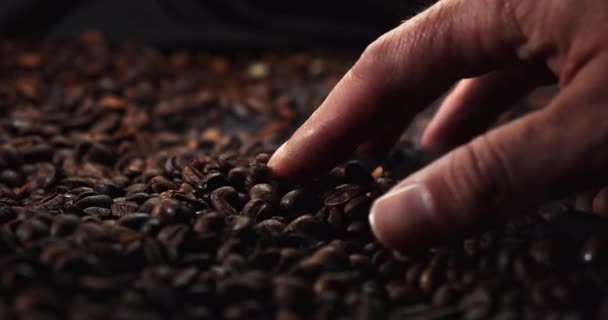 Rör Vid Smaken Kaffe Handen Rör Försiktigt Det Ärligt Rostade — Stockvideo