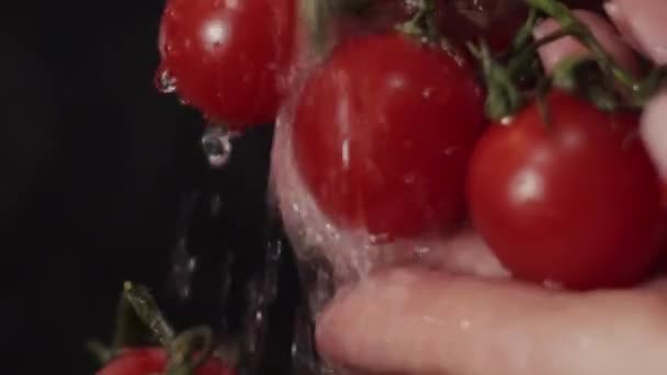 Mogna Tomater Sköljs Noggrant Vattenkranen För Salladen Närbild — Stockvideo