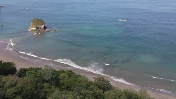 Аэрофотосъемка Панорамным Снимком Над Плотными Деревьями Демонстрирующими Красивый Тропический Пляж — стоковое видео