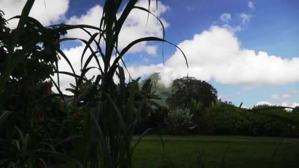 Pemandangan Aktif Arenal Gunung Berapi Fortuna Costa Rica Hutan Tropis — Stok Video