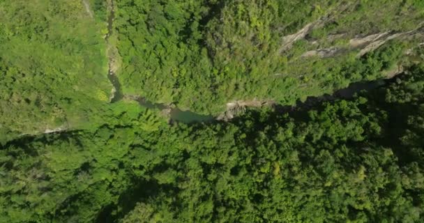 Pode San Cristbal Mountains Puerto Rico Floresta Tropical Dia Ensolarado — Vídeo de Stock