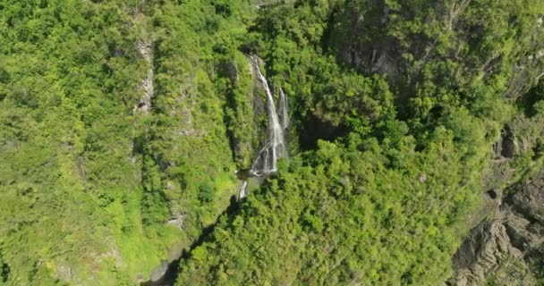 Cascada Can San Cristbal Mountains Río Puerto Rico Día Soleado — Vídeo de stock