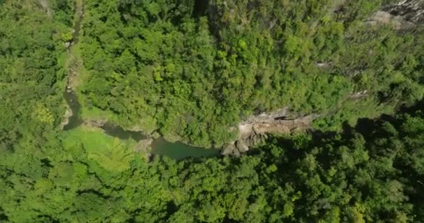 Can San Cristbal Mountains Porto Rico Forêt Tropicale Par Une — Video