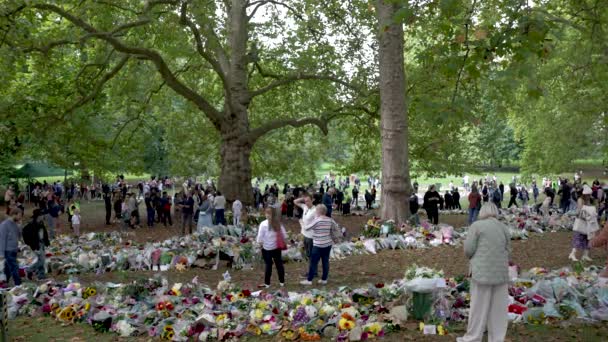 Publiken Sörjer Drottning Elizabeth Död Den Gröna Parken — Stockvideo