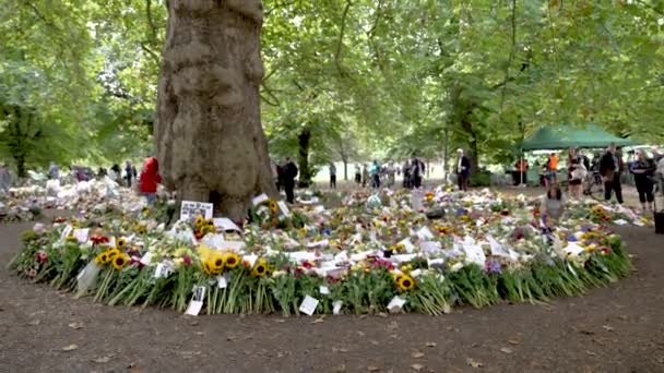 Large Collection Flowers Surrounded Tree Green Park Tribute Queen Elizabeth — стокове відео