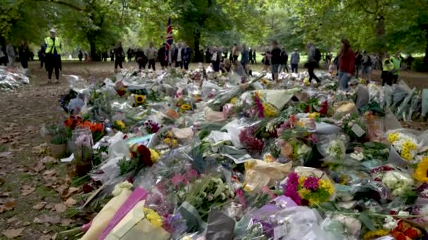 Flor Homenagens Para Morte Rainha Elizabeth Parque Verde — Vídeo de Stock