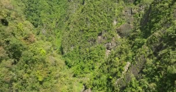 Tud San Cristbal Hegység Puerto Rico Trópusi Erdő Egy Napsütéses — Stock videók