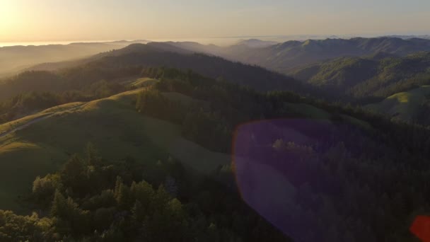 Dramatisk Natur Landskap Mount Tamalpais State Park Marin County Kalifornien — Stockvideo