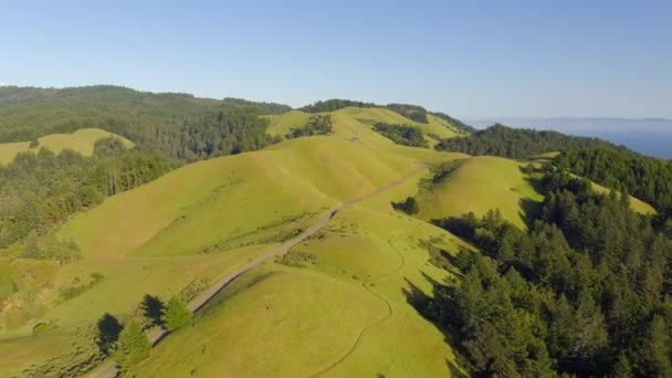 Beautiful Verdant Landscape Mount Tamalpais State Park Marin County California — Stock videók