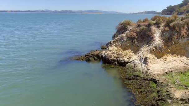 Mallard Ducks Resting Rocky Shore Rat Rock Island Summer California — Stock video