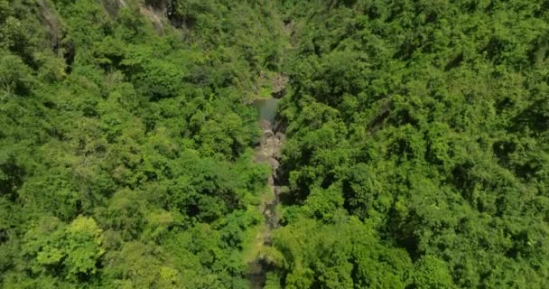 Pode San Cristbal Mountains Puerto Rico Floresta Tropical Dia Ensolarado — Vídeo de Stock