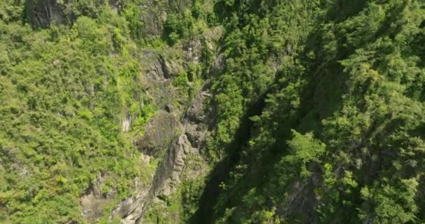 Pode San Cristbal Mountains Puerto Rico Floresta Tropical Dia Ensolarado — Vídeo de Stock